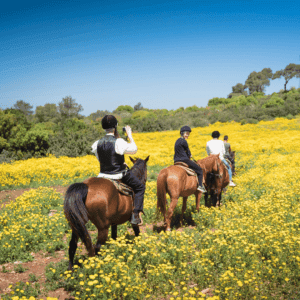 חברה לתכנון ימי כיף