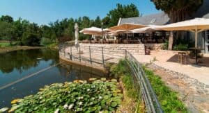 יום גיבוש לחברה בחגים