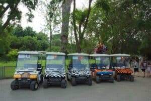 יום כיף לחברה בסתיו