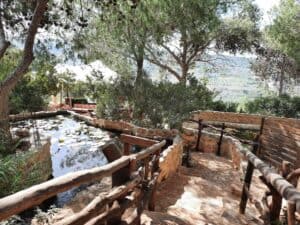 חברה להפקת יום כיף