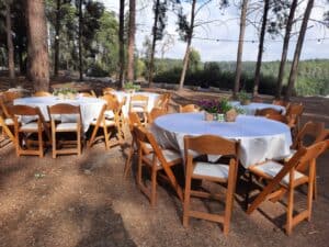 יום כיף ביער