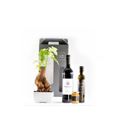 מתנות לחג הפסח 2023